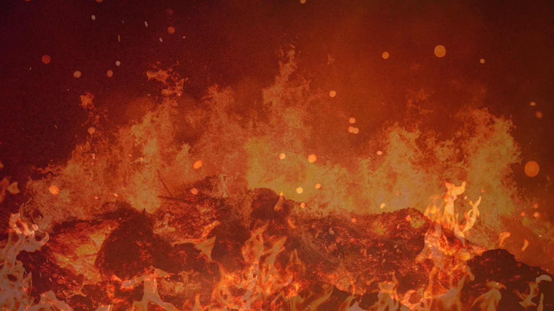 Fire Knows No Borders: Lessons from South Asia for Addressing LA’s Wildfires